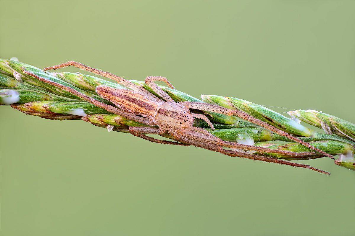 , Вадим Ходаковский