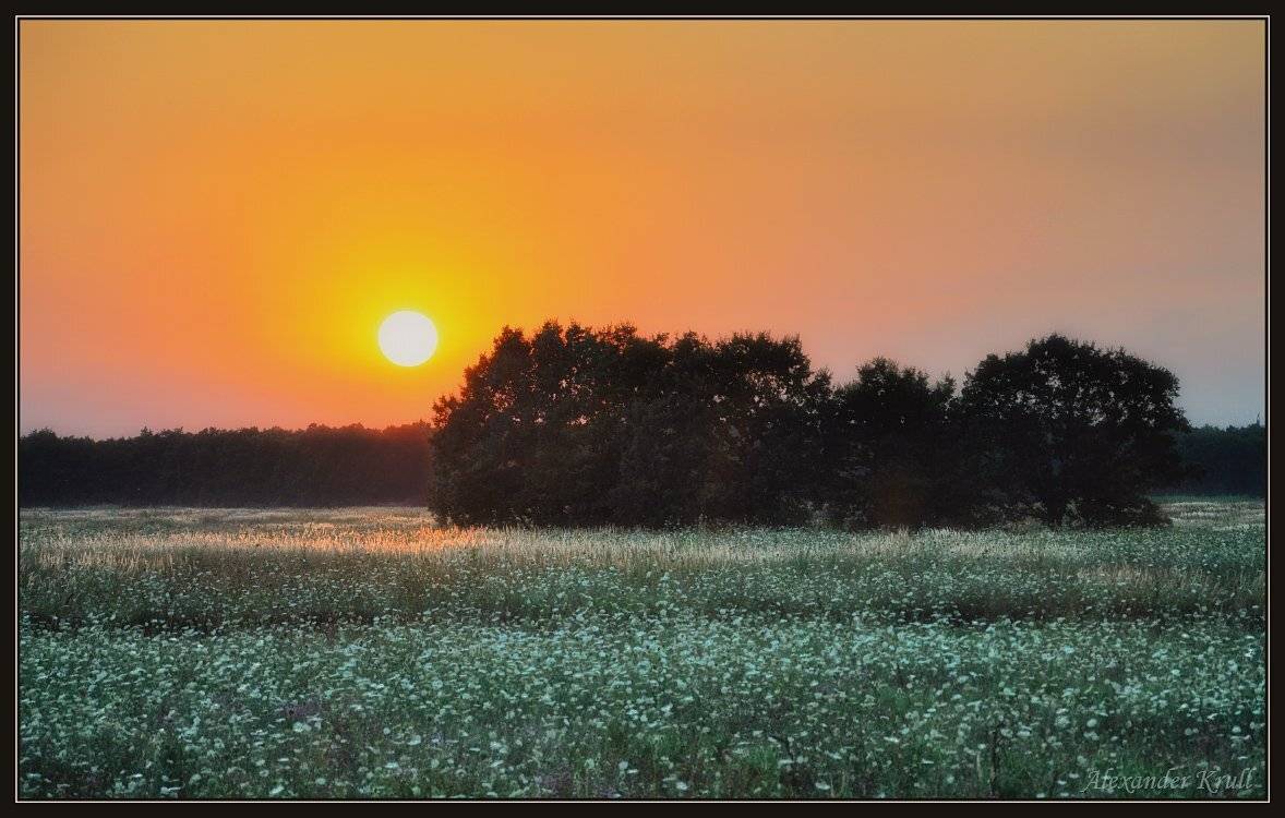 вечер, закат, поле, Александр Круль