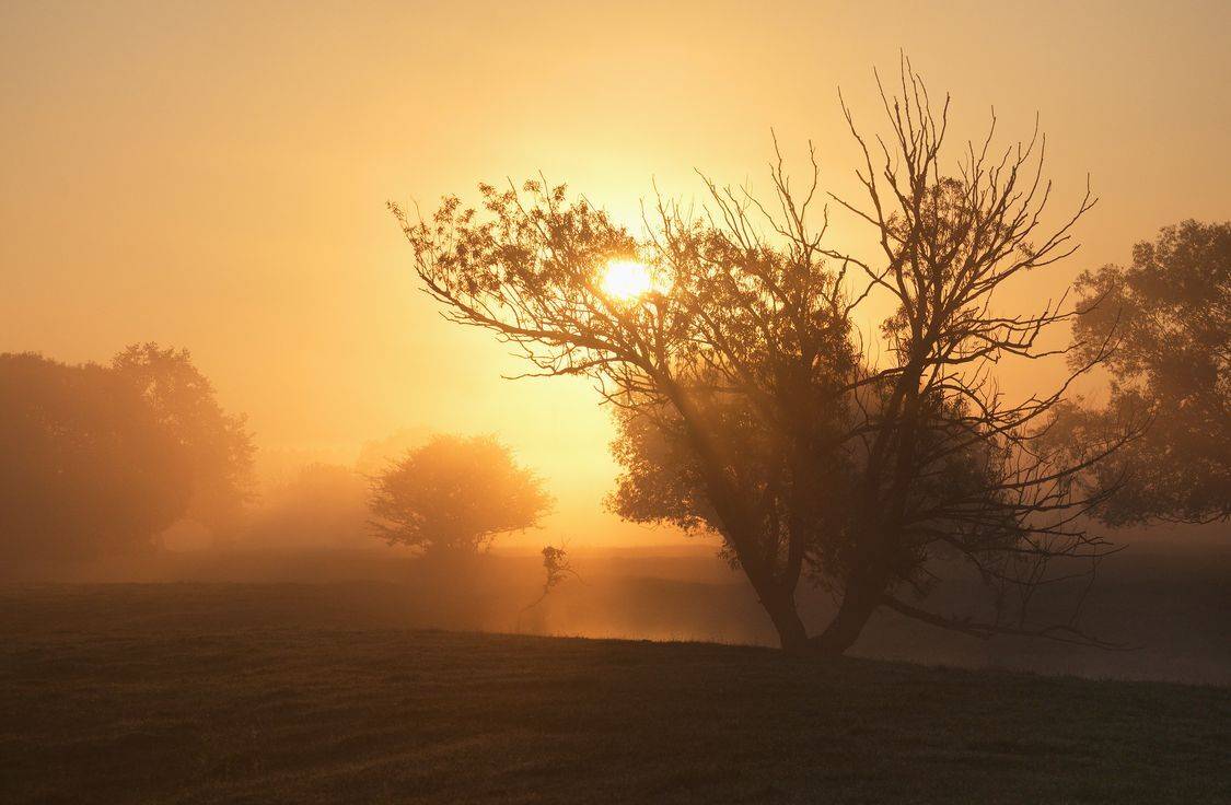 , Володимир Карчевський