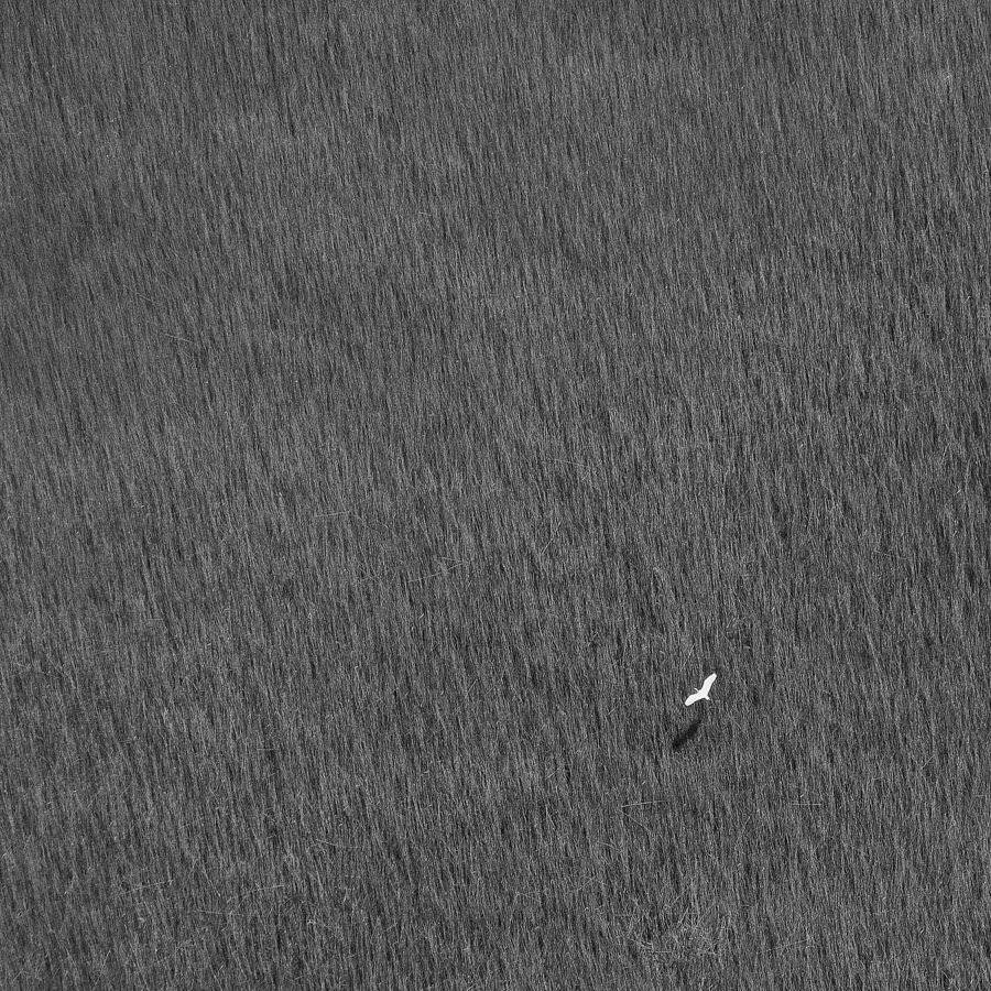 , Сидоренко Алексей