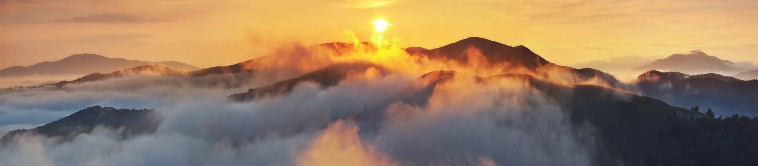 , Денис Кривой