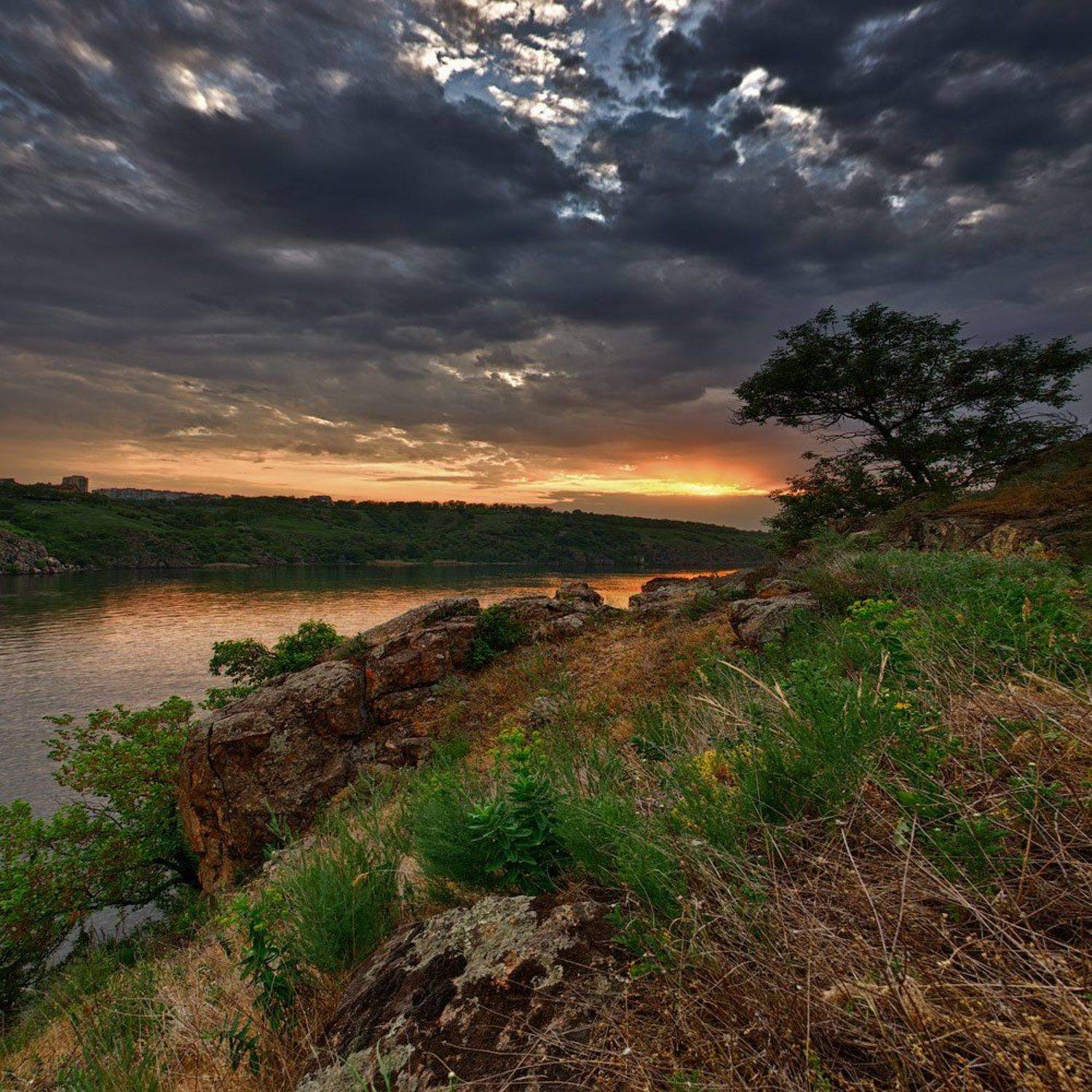 , Величко Владимир