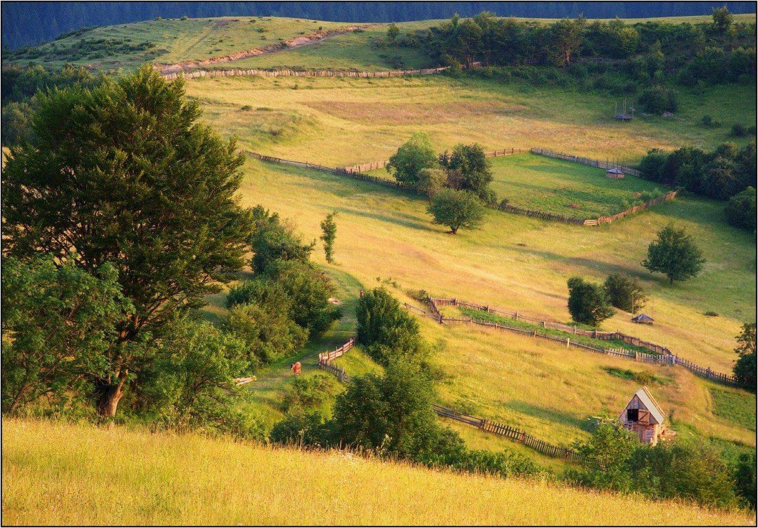 карпаты, Dmitry Pozharsky