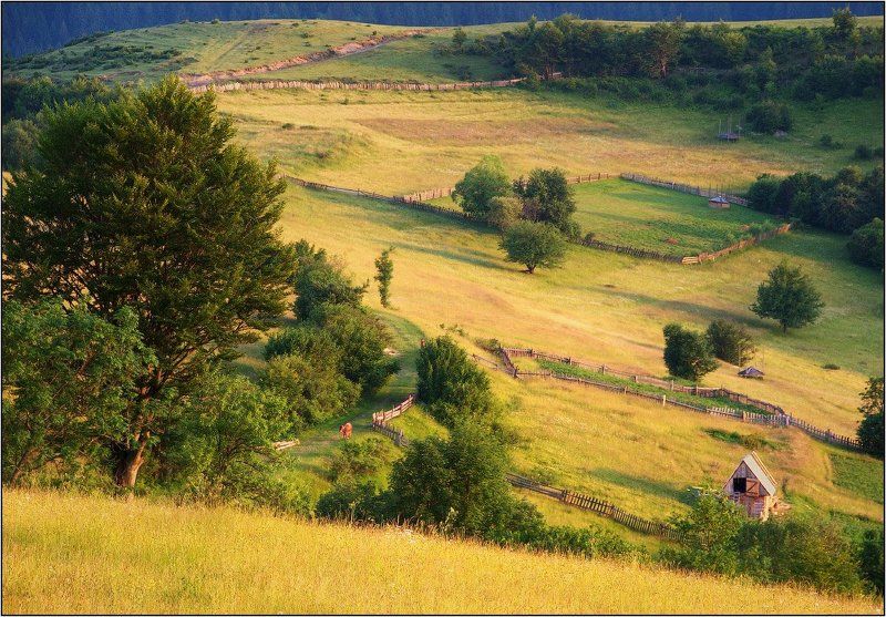 карпаты Горная пастораль фото превью