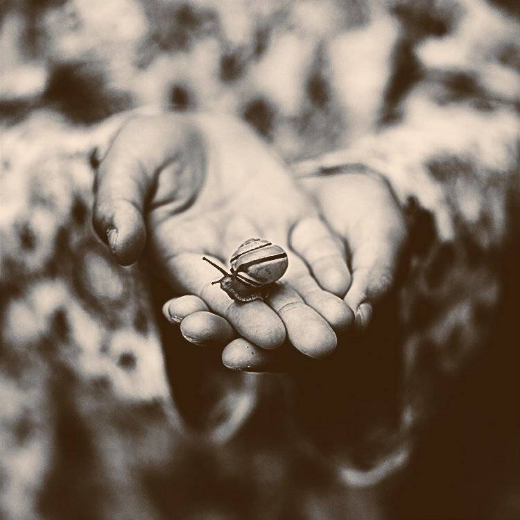 руки,улитка,ч/б, Мария