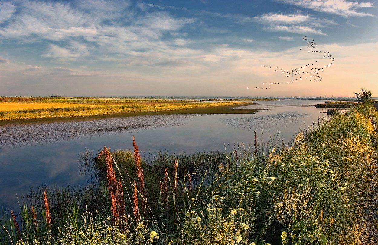 , Игорь Мелекесцев