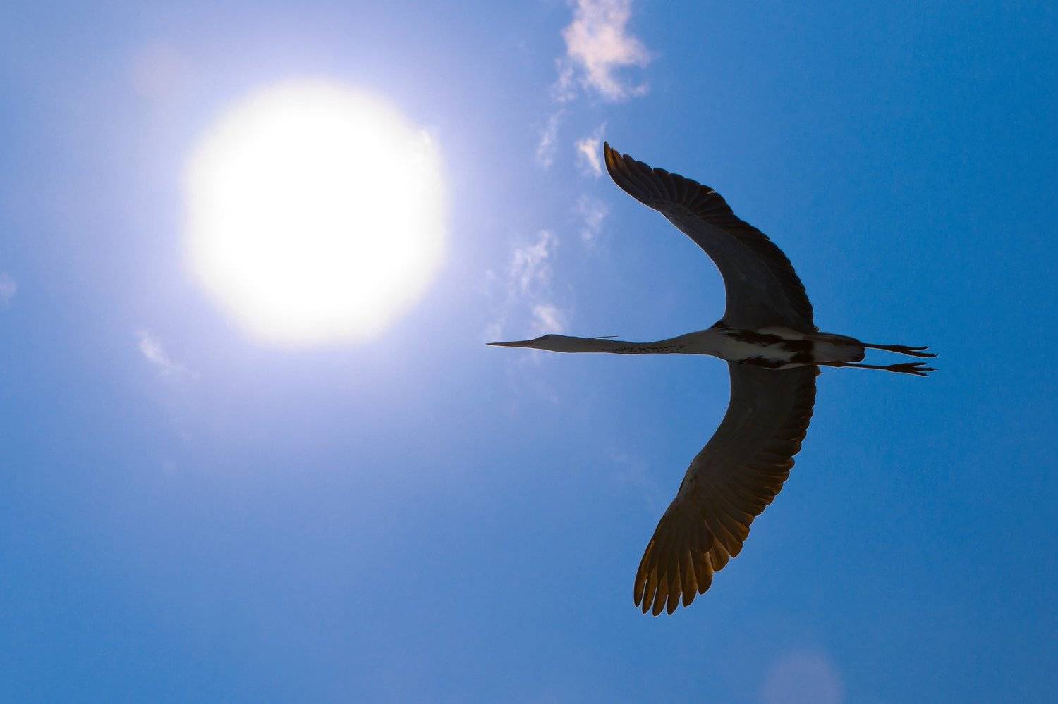 , Роман Мурушкин