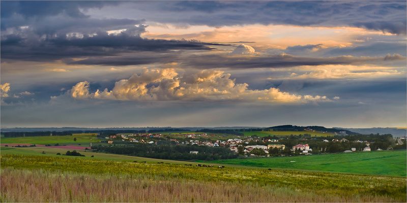 пейзаж, природа, небо, вечер, нижний новгород, На лугу пасутся Ко №2 фото превью