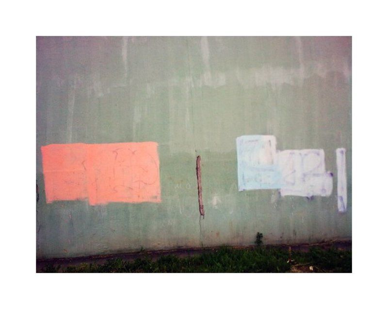 nety фото превью