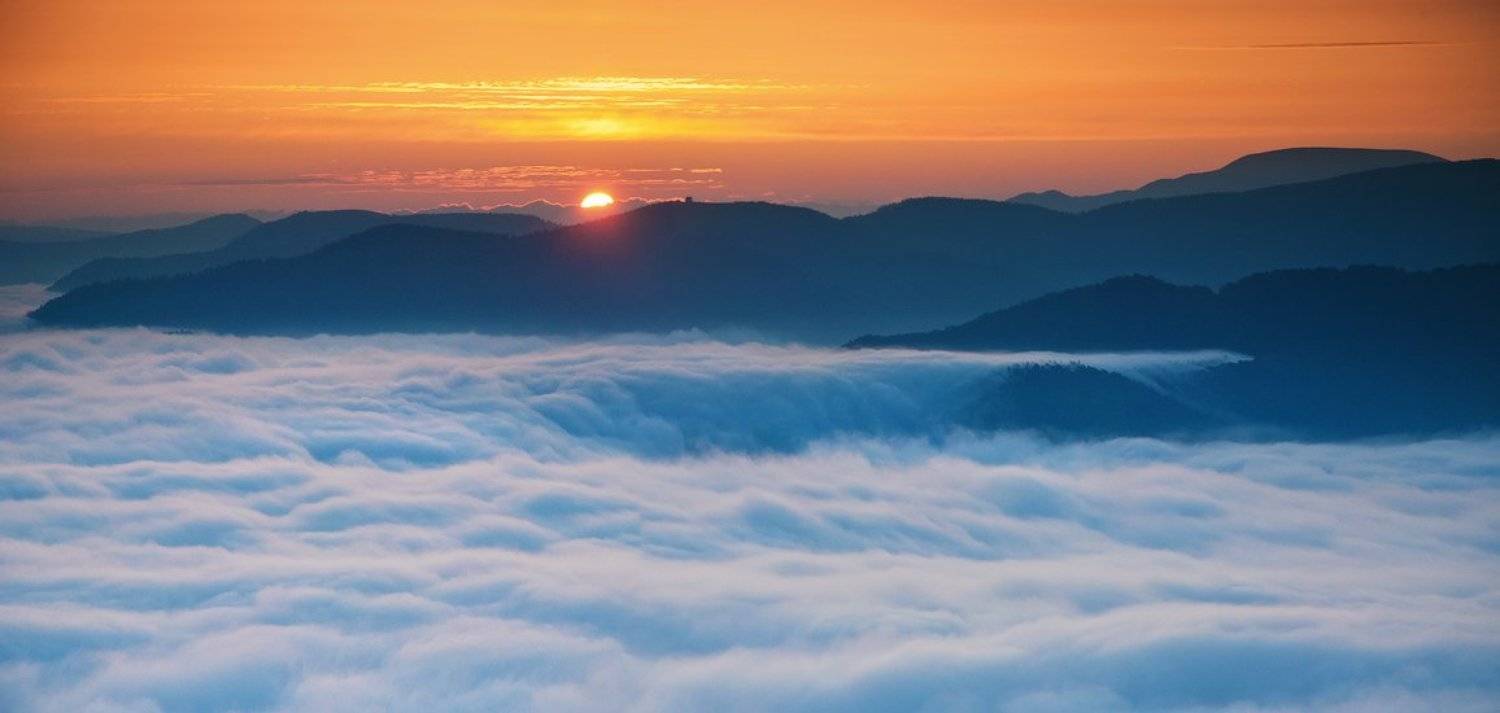 , Денис Кривой