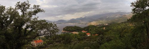про красные крыши в зеленой листве