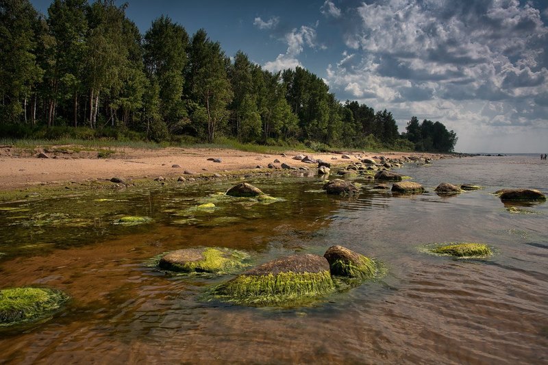 фото превью