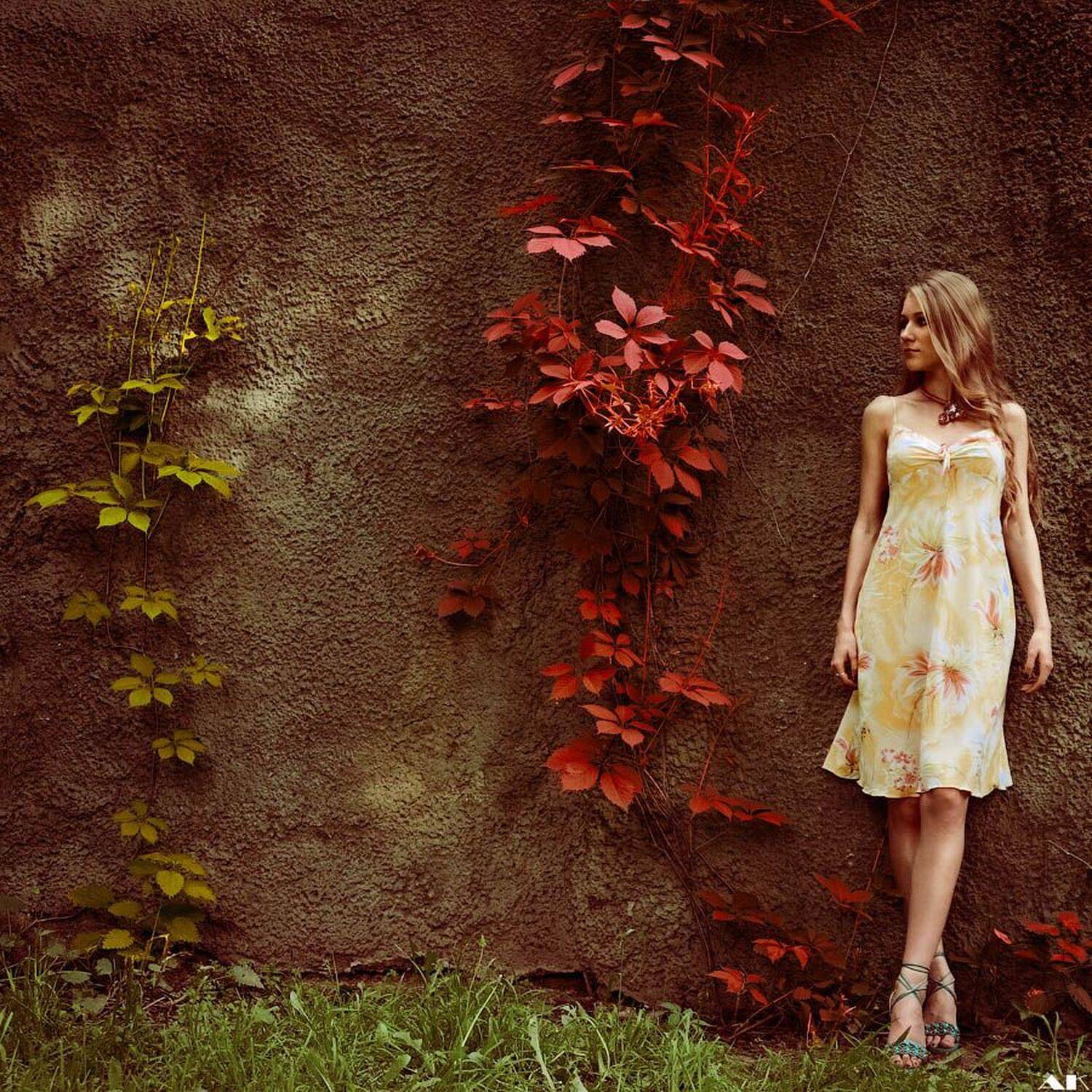 wall, red, green, leaves, Колбая Александр