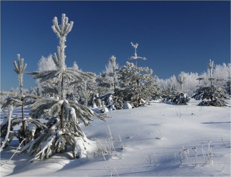 охлаждающая... фото превью