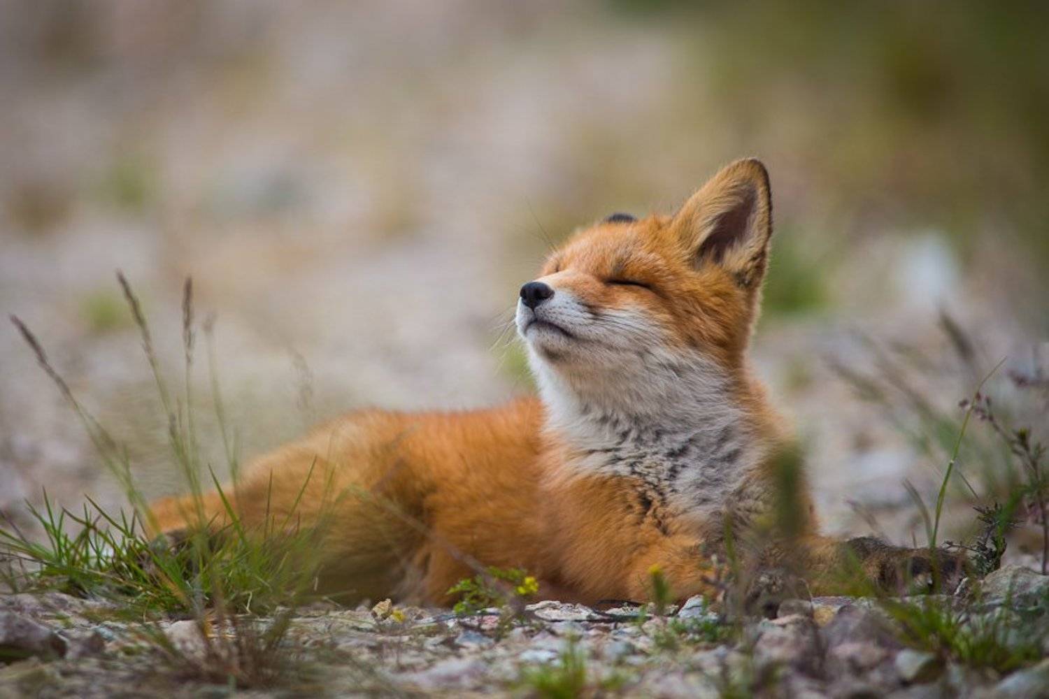 , Иван Кислов