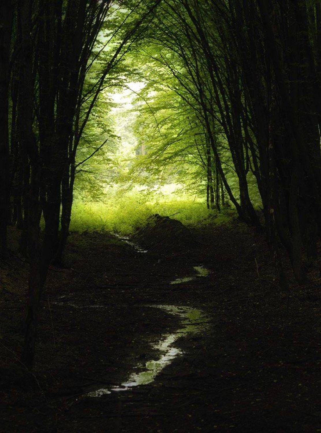 , Александр