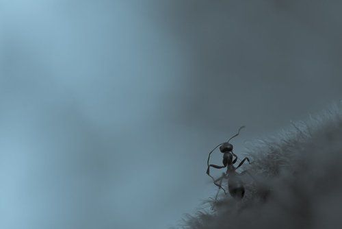 Возвращайся! Я буду ждать тебя!