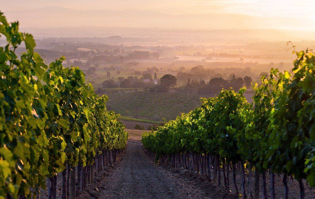 , Людмила Прокофьева