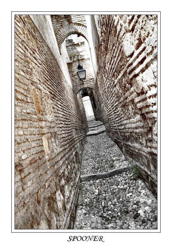 * * * фото превью