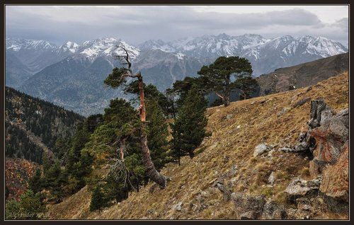 Говорящие с ветром...