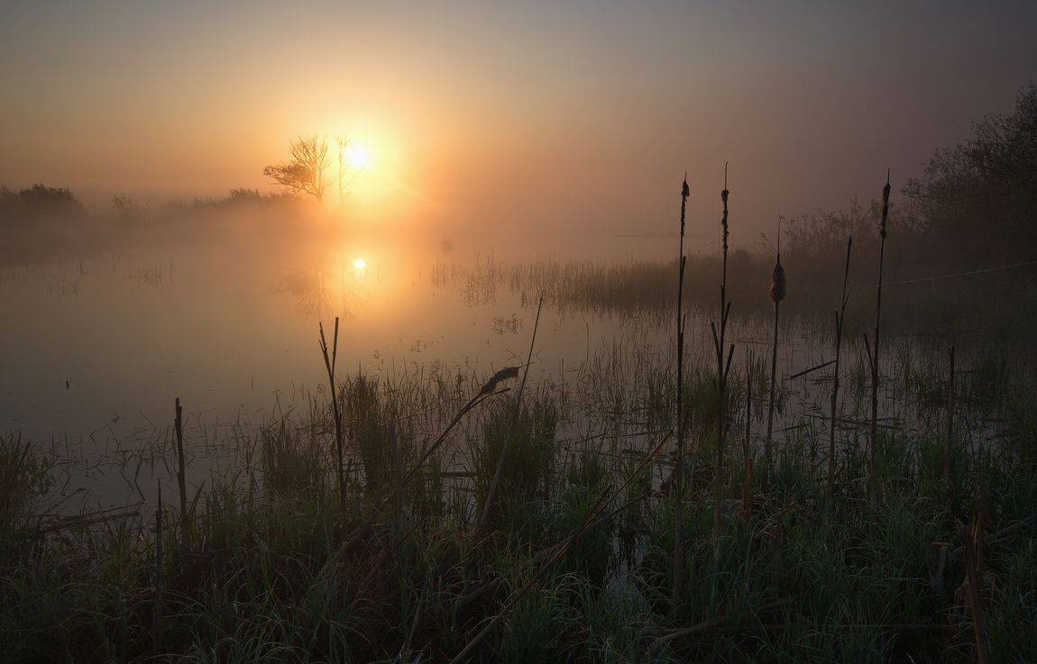 , Володимир Карчевський