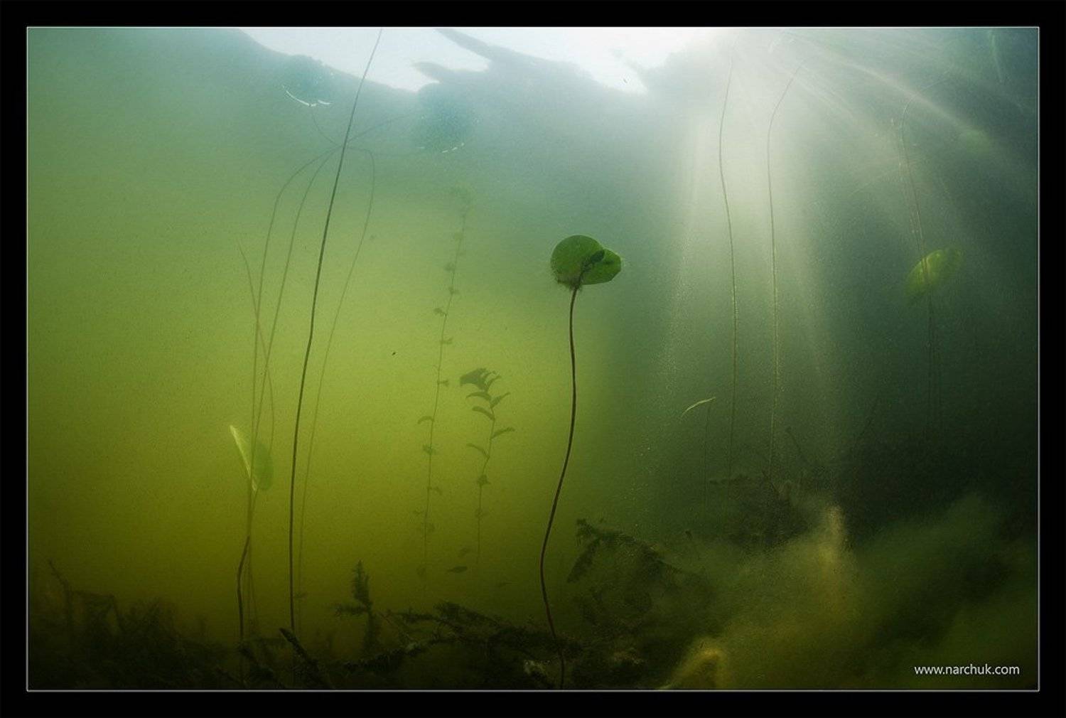 магия, озера, россия, подводное, селигер, Нарчук Андрей