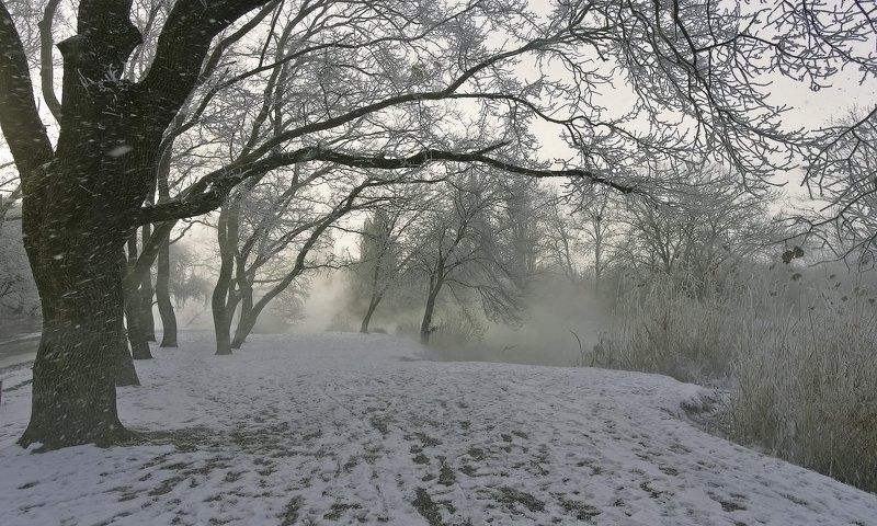 ВСПОМИНАЯ ЗИМУ фото превью