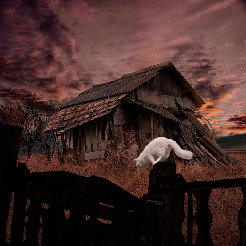 Home sweet home фото превью