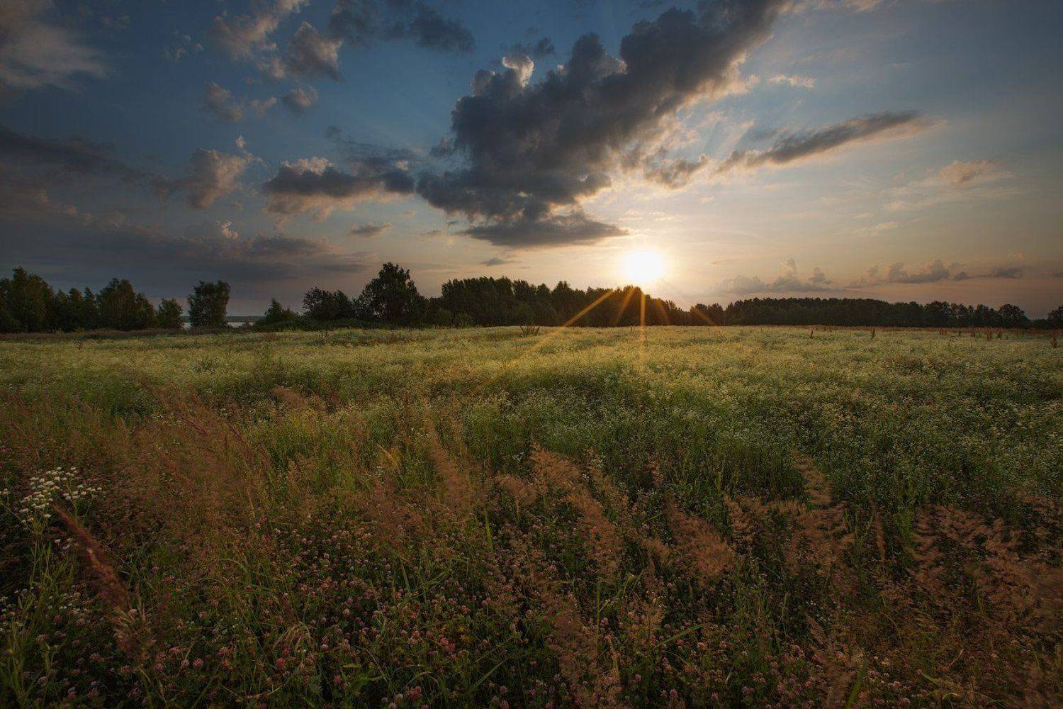 , Игорь Иванов