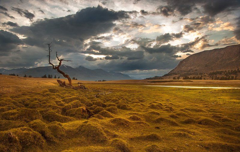 На берегах Hoton Noor фото превью