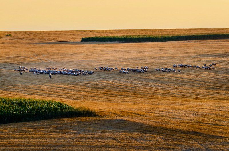 home фото превью