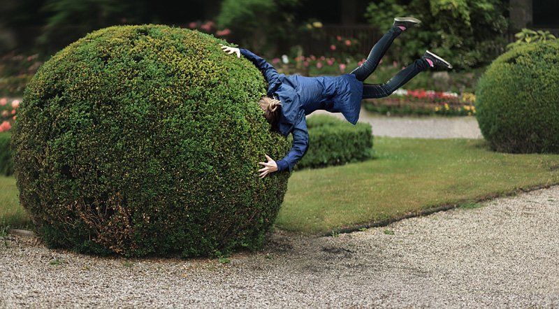 beating about the bush фото превью