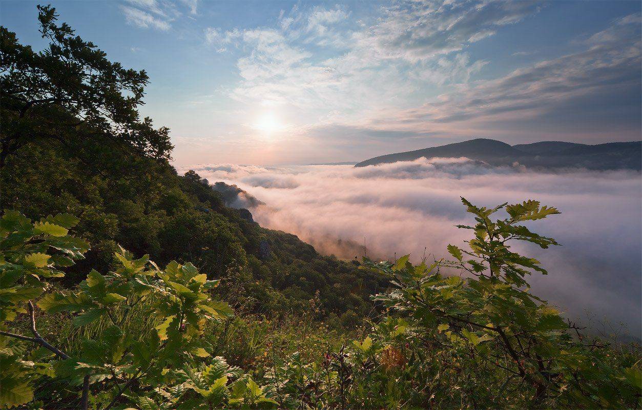 скала, кизинчи, туман, лето, Николай Мысливцев