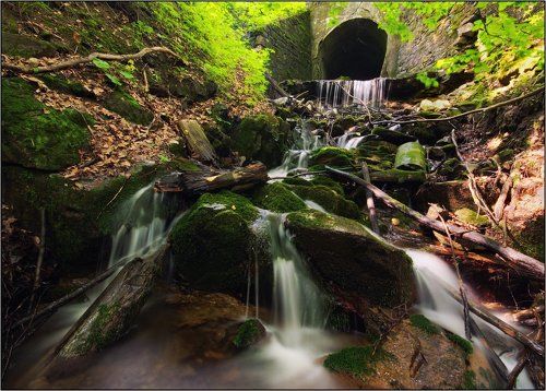 На склонах гор...