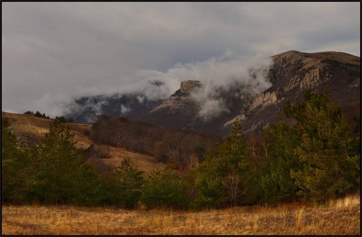 , Владимир Метцгер