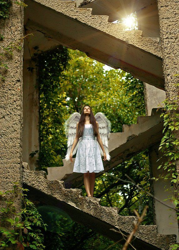 Ей дали крылья, но она так и не взлетела фото превью