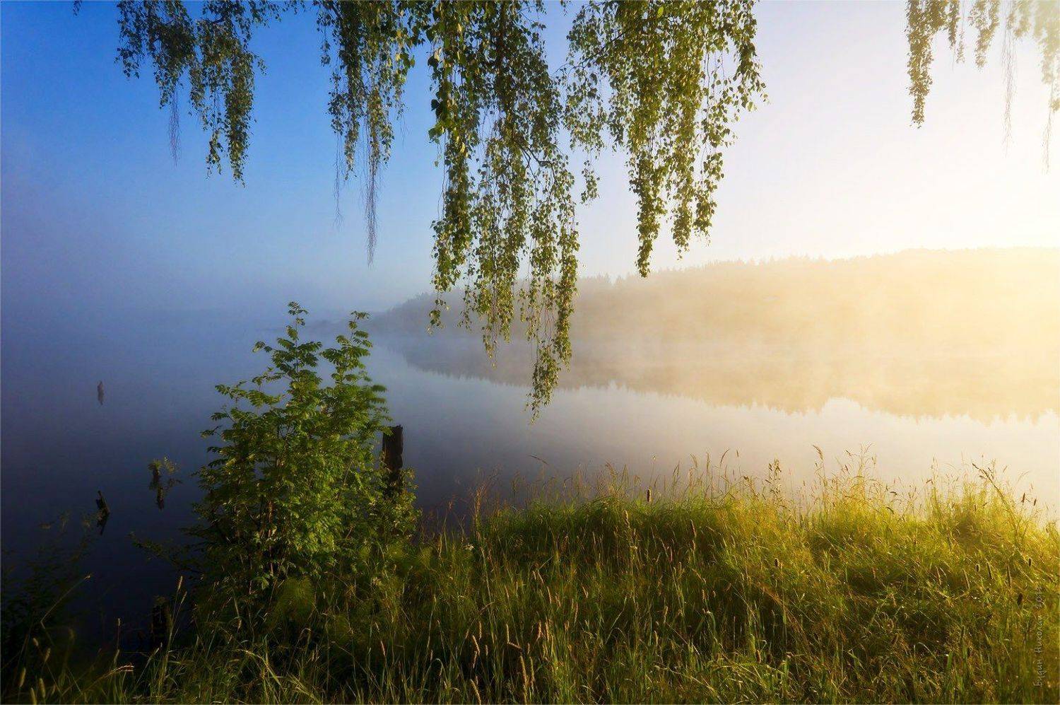 вода, небо, пейзаж, природа, рассвет, туман, утро, Будин Николай