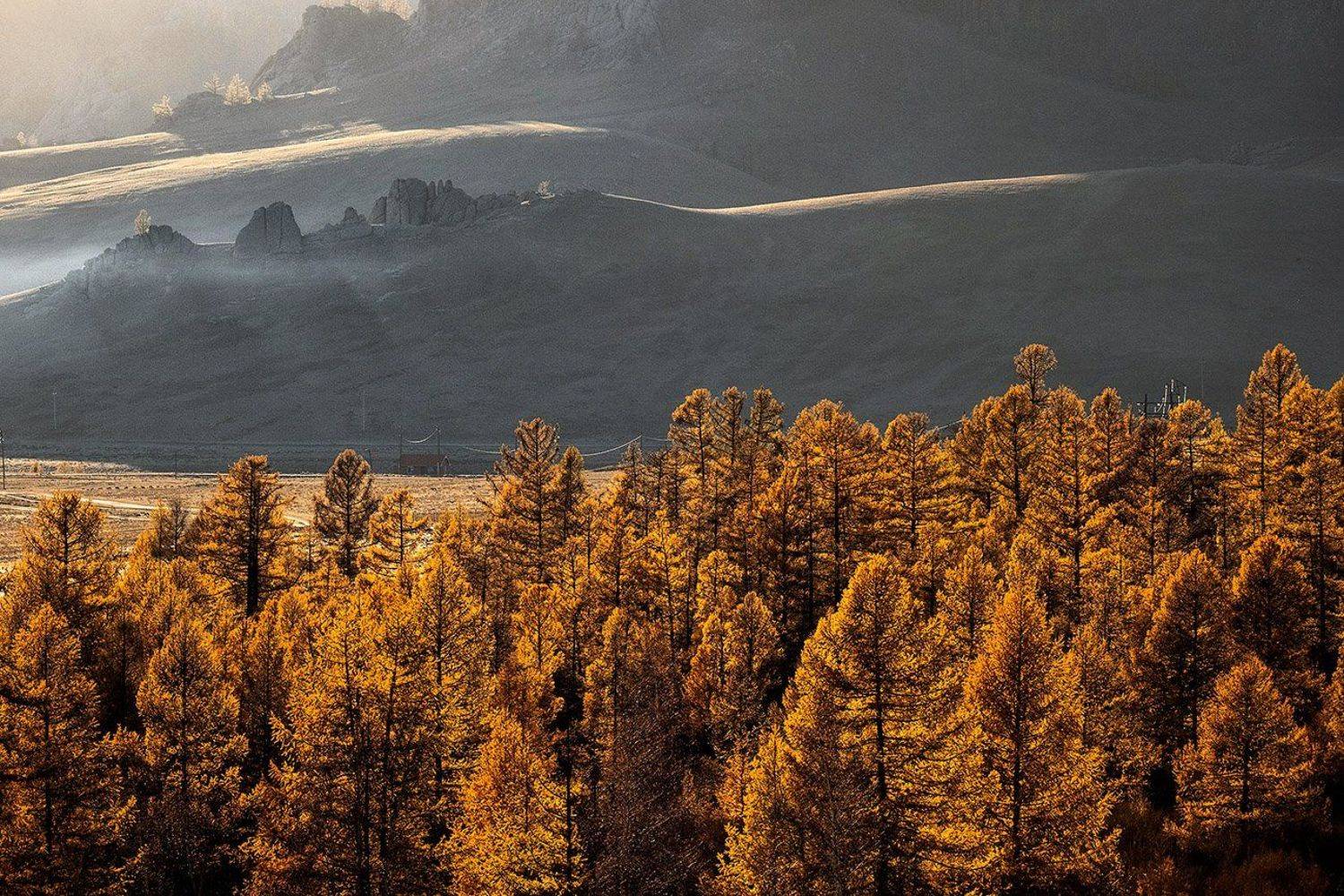 алтай, ледник актру, актру, алтайский край, долина, весна,осень, лиственницы, ледник,ледники, Качурин Алексей