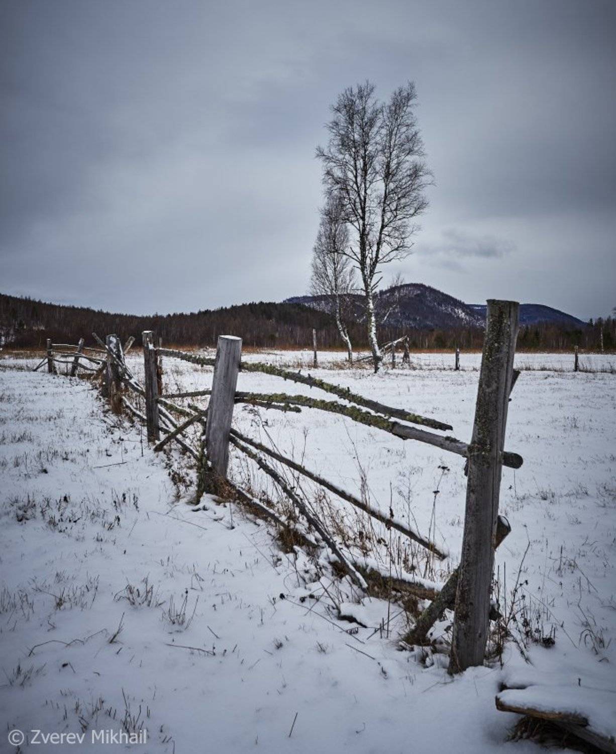 сибирь, Михаил Зверев