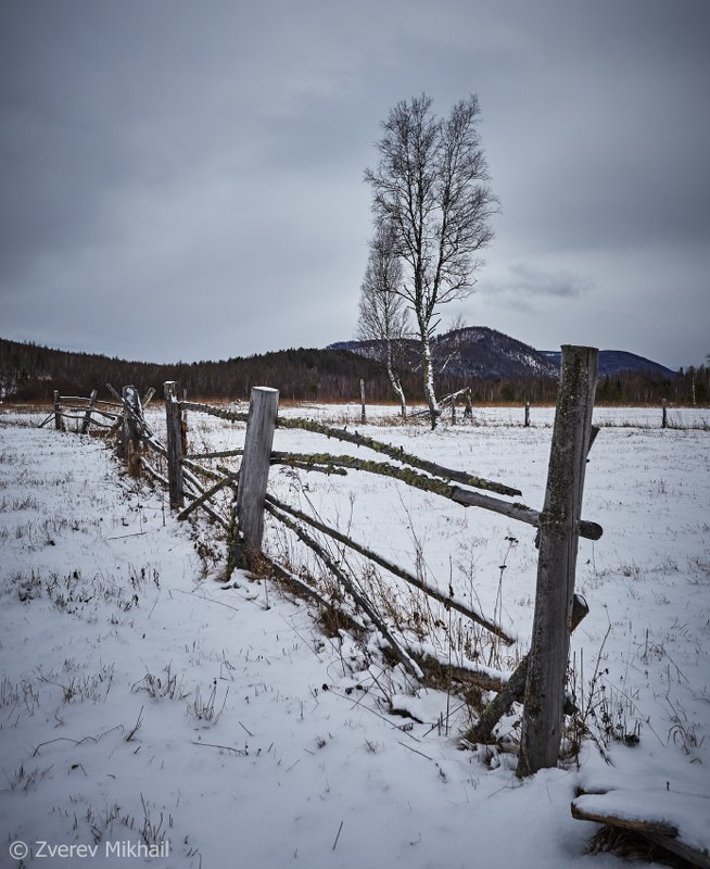 сибирь *** фото превью