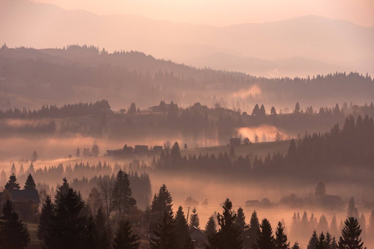 карпаты. осень. туман. рассвет, Татьяна Степанова