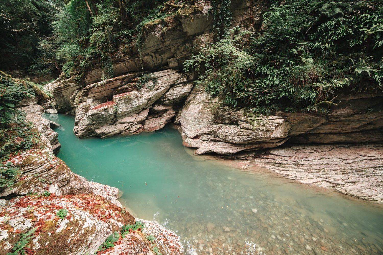 сочи, псахо, Элина Хван