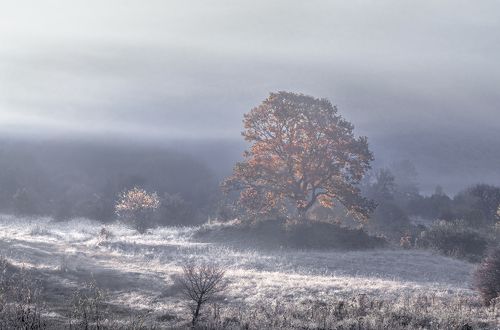 With a whiff of winter / С дуновением зимы