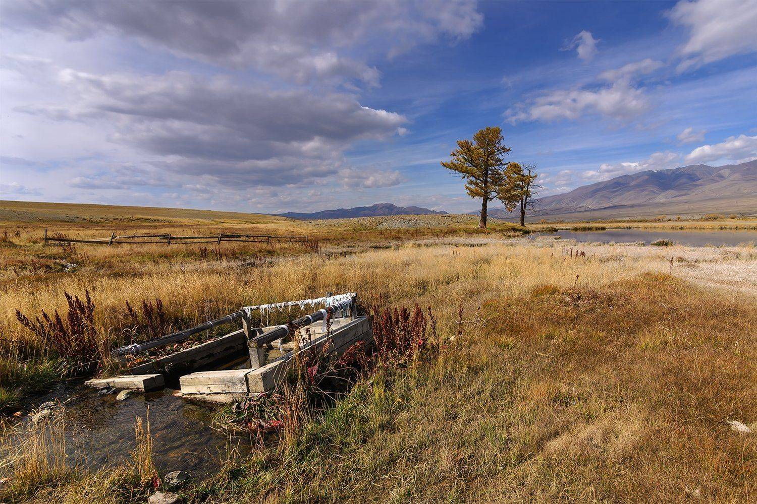 , Дмитрий Д.