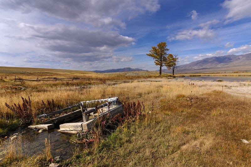 Погожий осенний денёк... фото превью