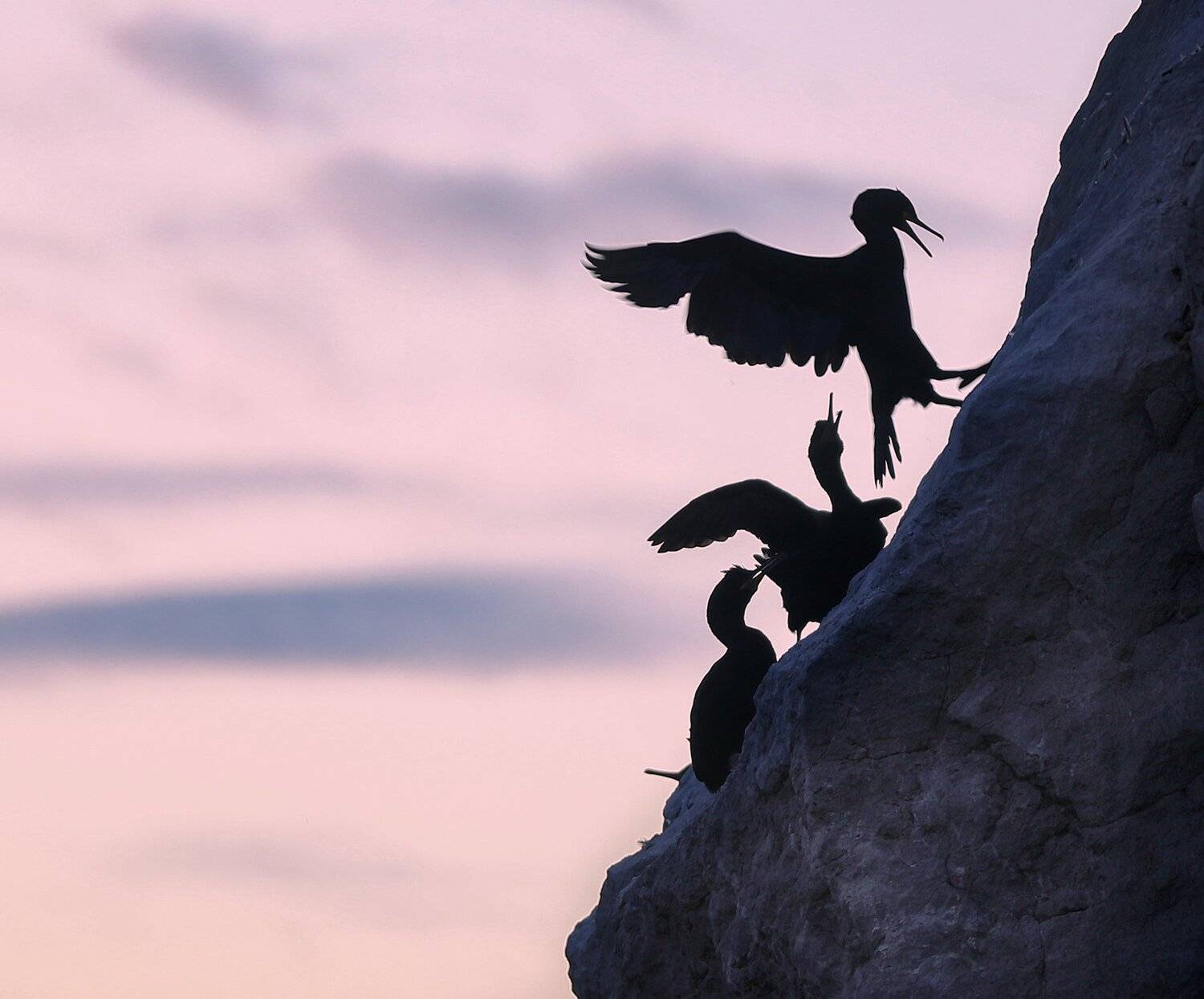 , Андрей Ершов