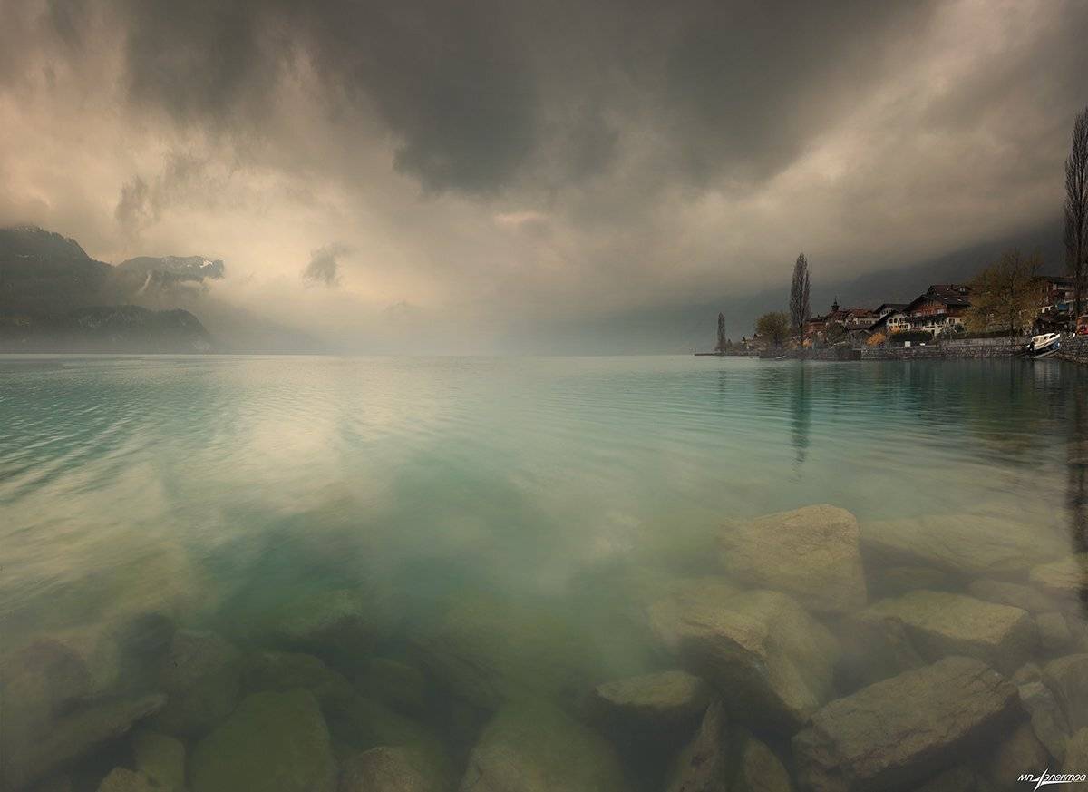 swiss, Матвеев Николай