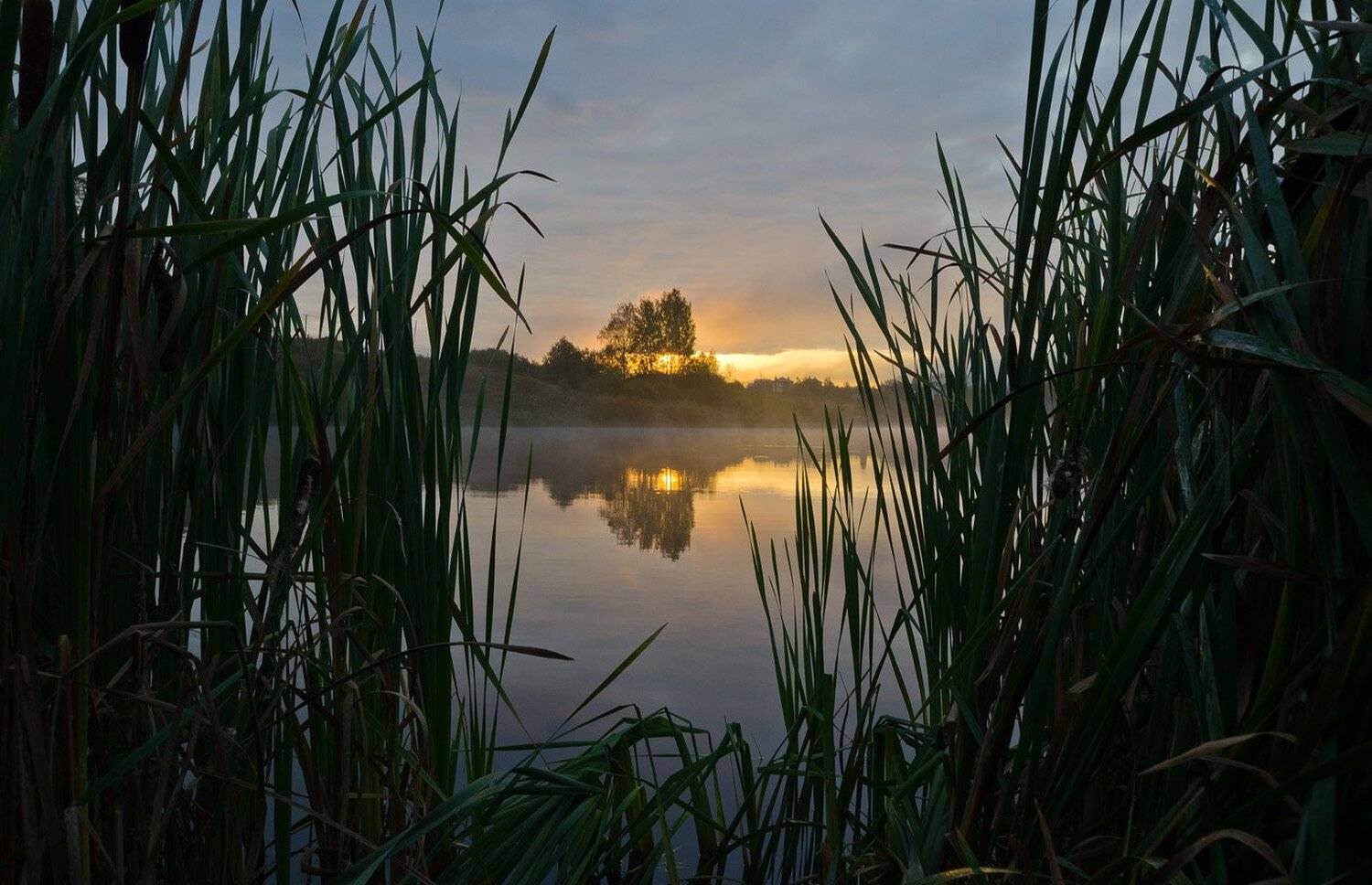 утро, природа, архангельское, Михаил Агеев