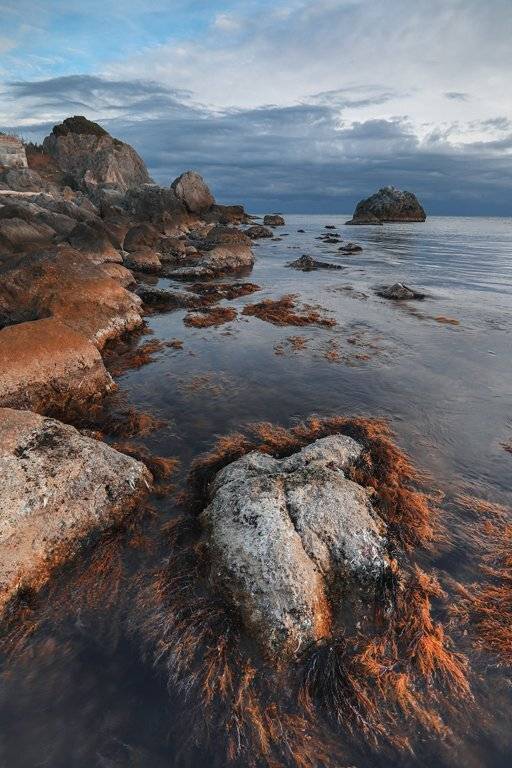 , Андрей Ершов