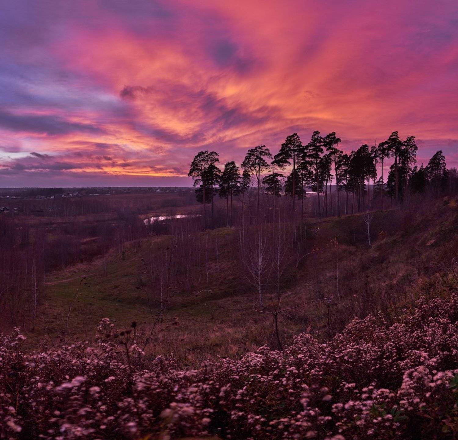 закат,подмосковье,осень,небо,панорама,сумерки,сухоцветы,московская область,красный, Горшков Игорь